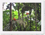 Dierentuin Burgers  Zoo 073 * 3648 x 2736 * (5.54MB)